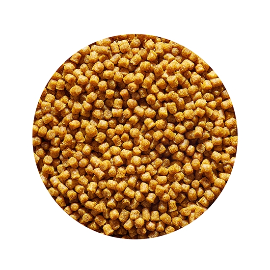 GENLOG Oxygen Micro Pellet CZEKOLADA POMARAŃCZA 2mm 800g